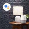 Hive Light Google Assistant