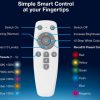 AOne BT Smart Remote Controller with Batteries AU-A1BTRC1