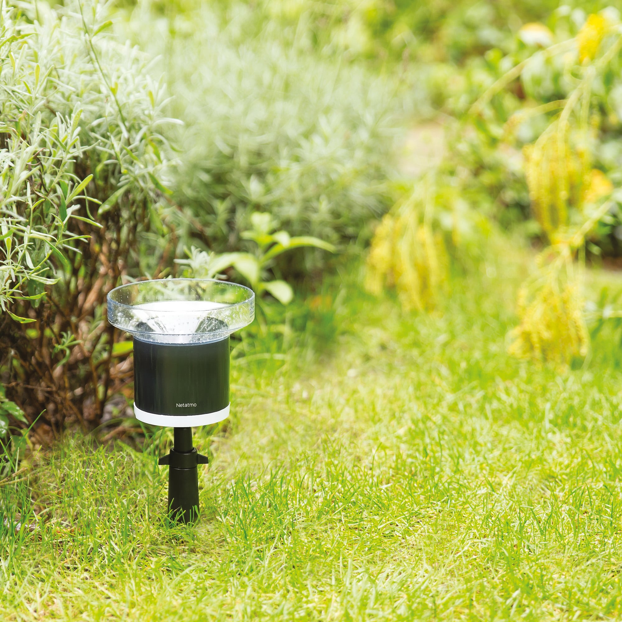 netatmo - Station Weather Wireless With WiFi Rain Gauge